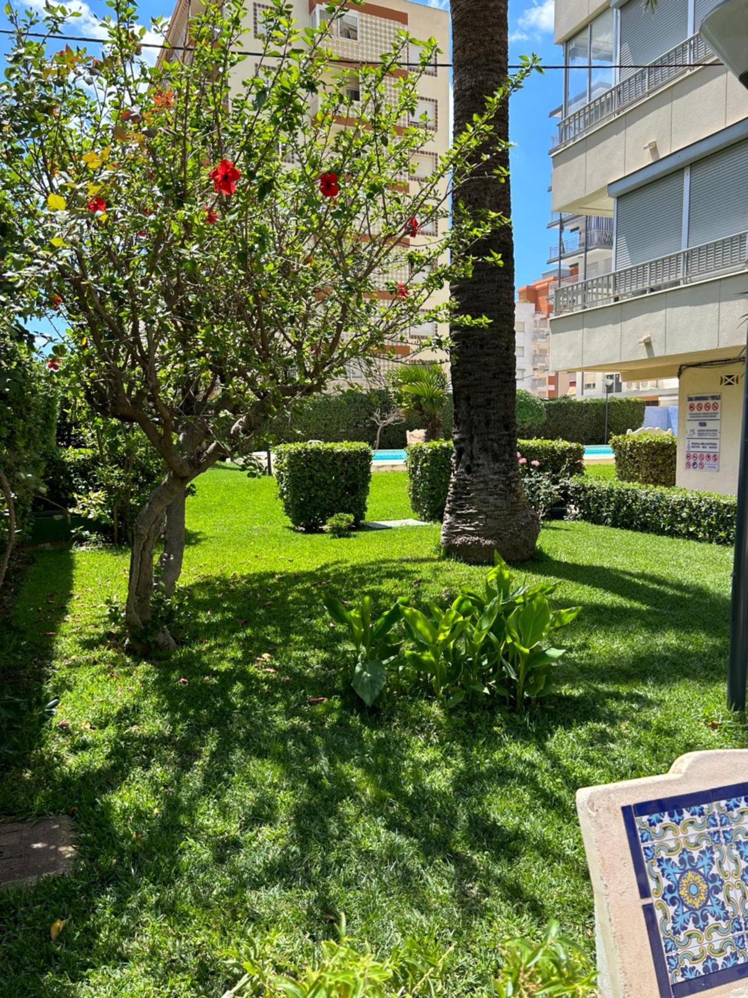 Apartamento Gandia Playa 150M Playa Con Parking Privado Y Piscina Playa de Gandia エクステリア 写真